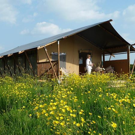 Tall Trees Glamping Baltonsborough 외부 사진