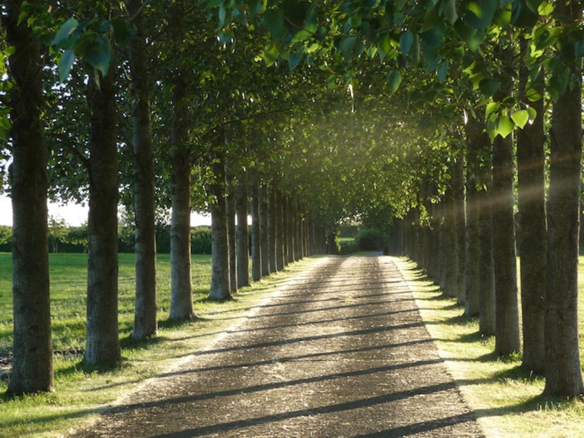 Tall Trees Glamping Baltonsborough 외부 사진