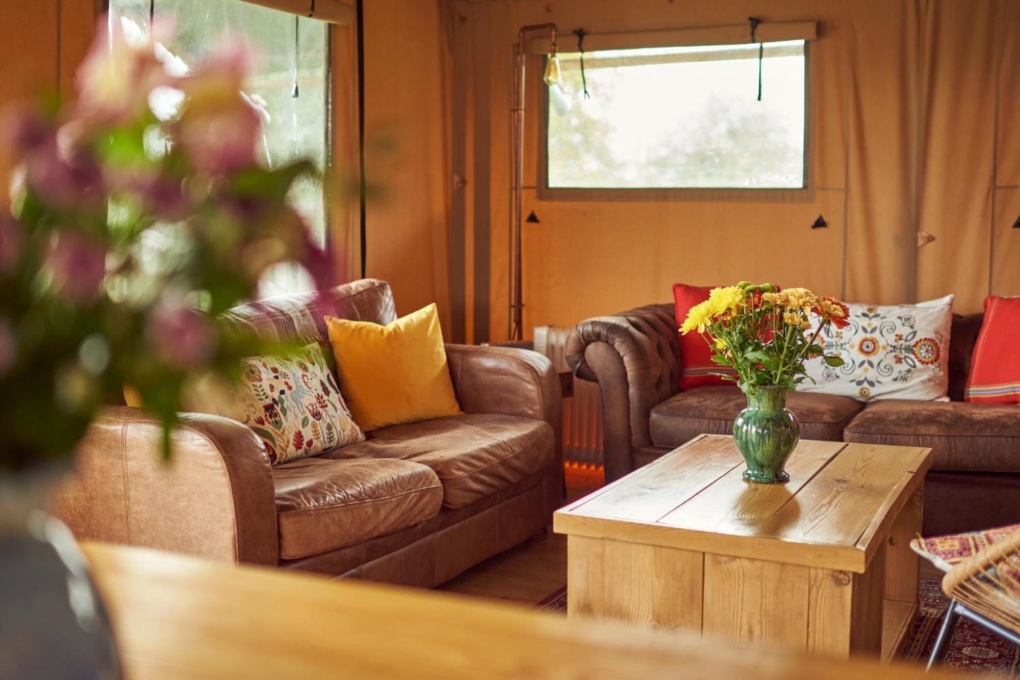 Tall Trees Glamping Baltonsborough 외부 사진