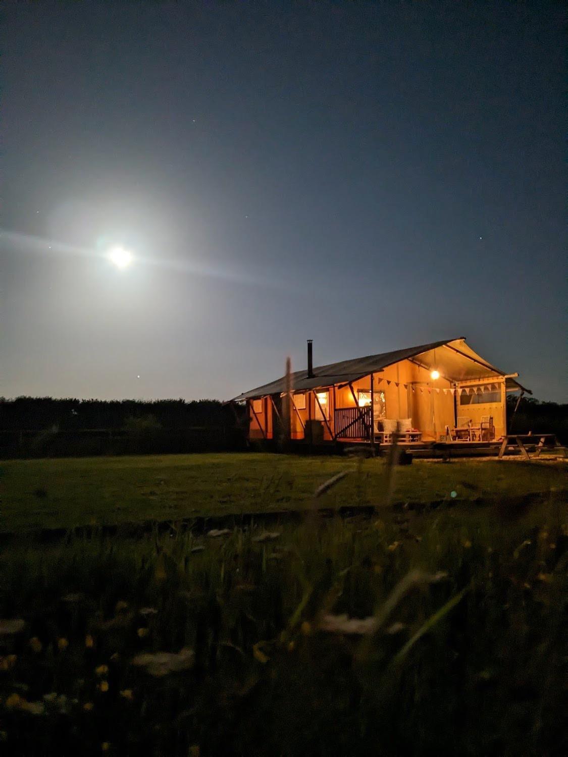 Tall Trees Glamping Baltonsborough 외부 사진