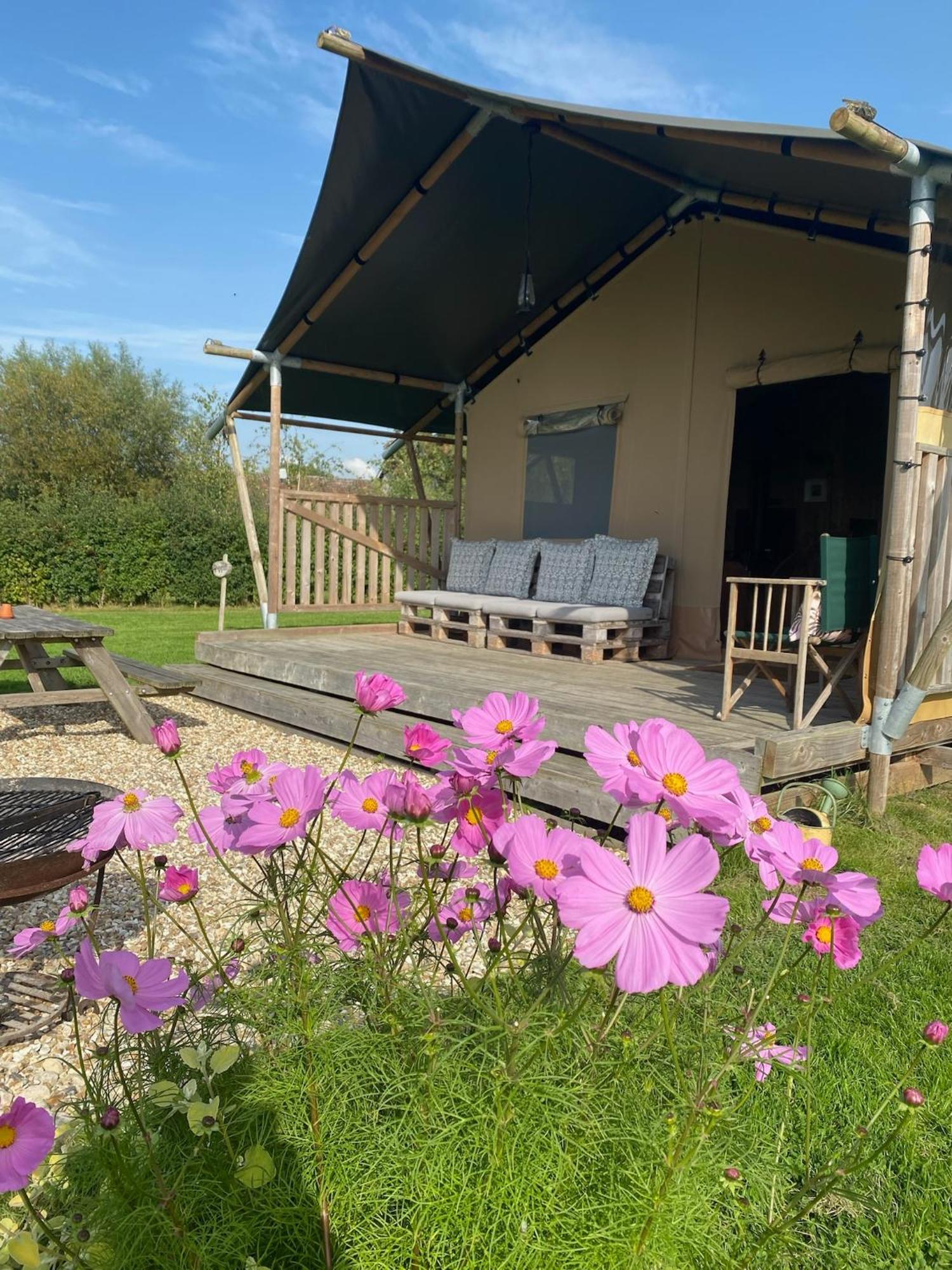 Tall Trees Glamping Baltonsborough 외부 사진